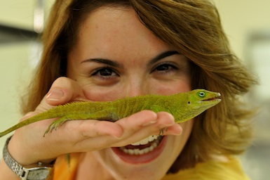 Anolis garmani and me